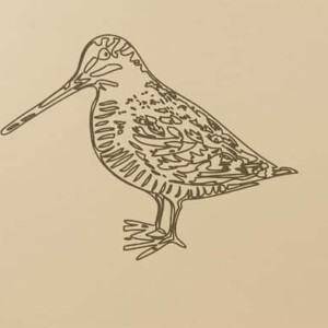 Gravure de bécasse sur un panonceau en stratifié compact. Gravure de bécasse sur un panonceau en stratifié compact.