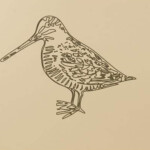 Gravure de bécasse sur un panonceau en stratifié compact. Gravure de bécasse sur un panonceau en stratifié compact.